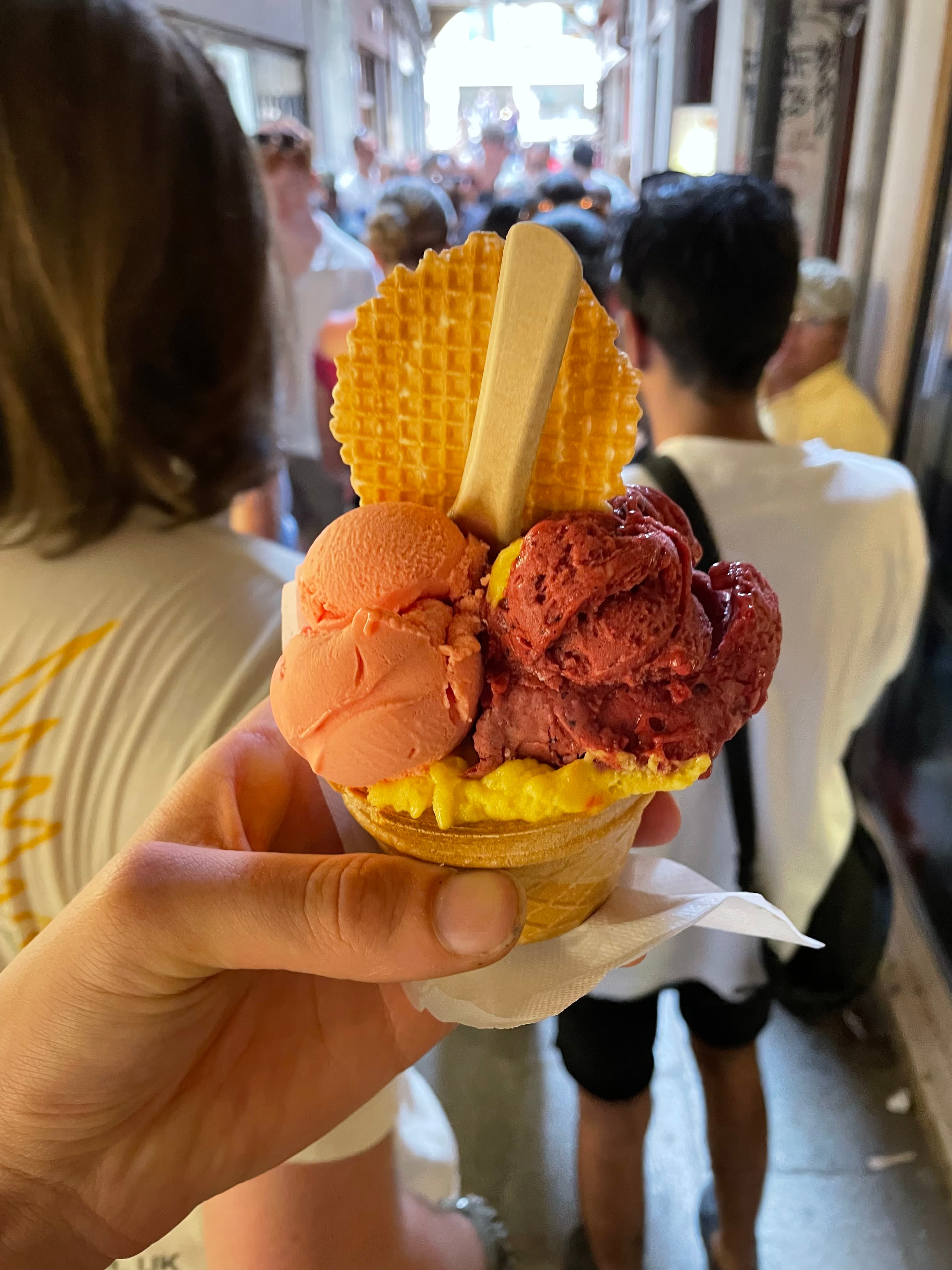 Cover Image for Venice