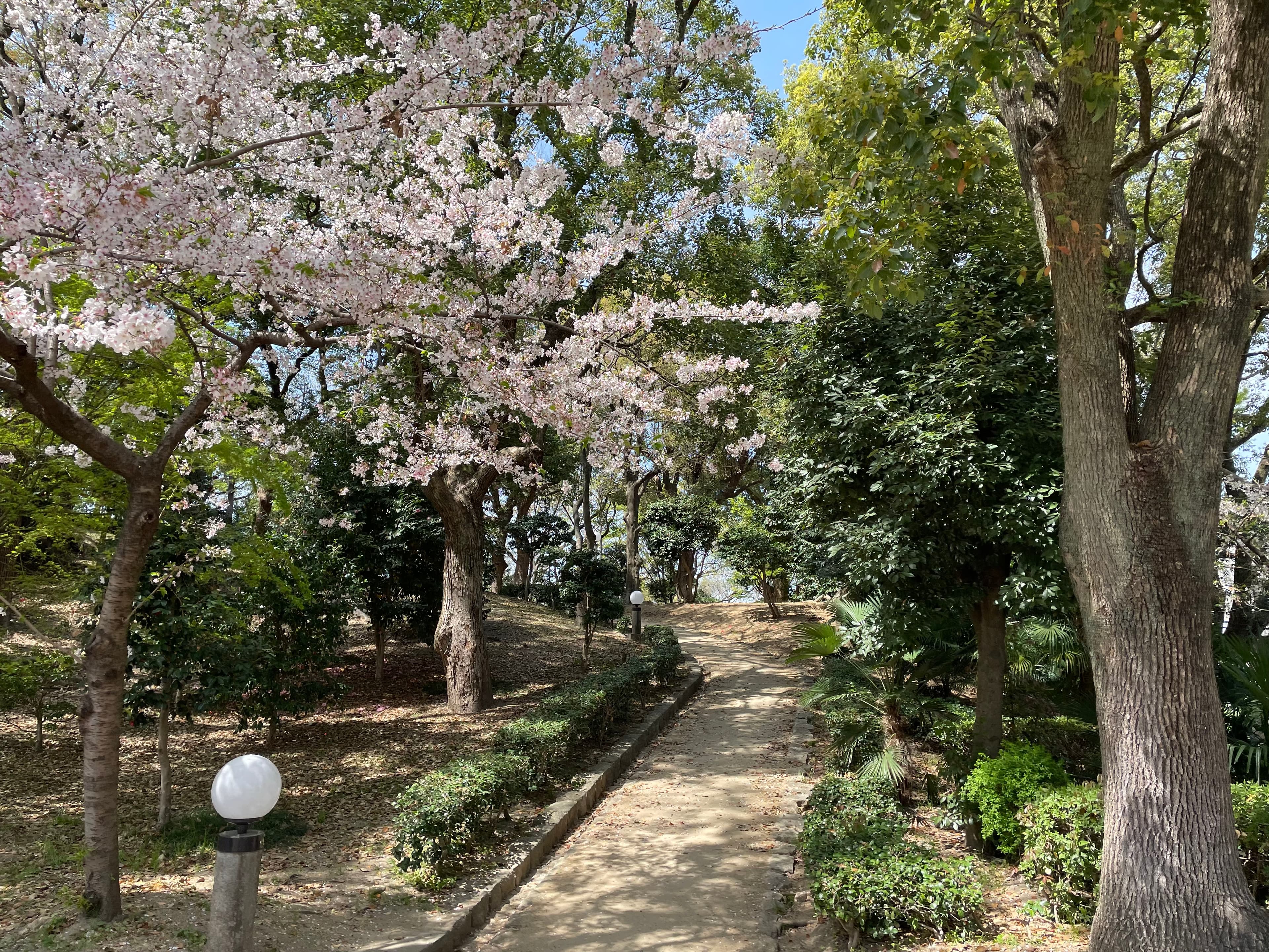 Cover Image for Shinsekai